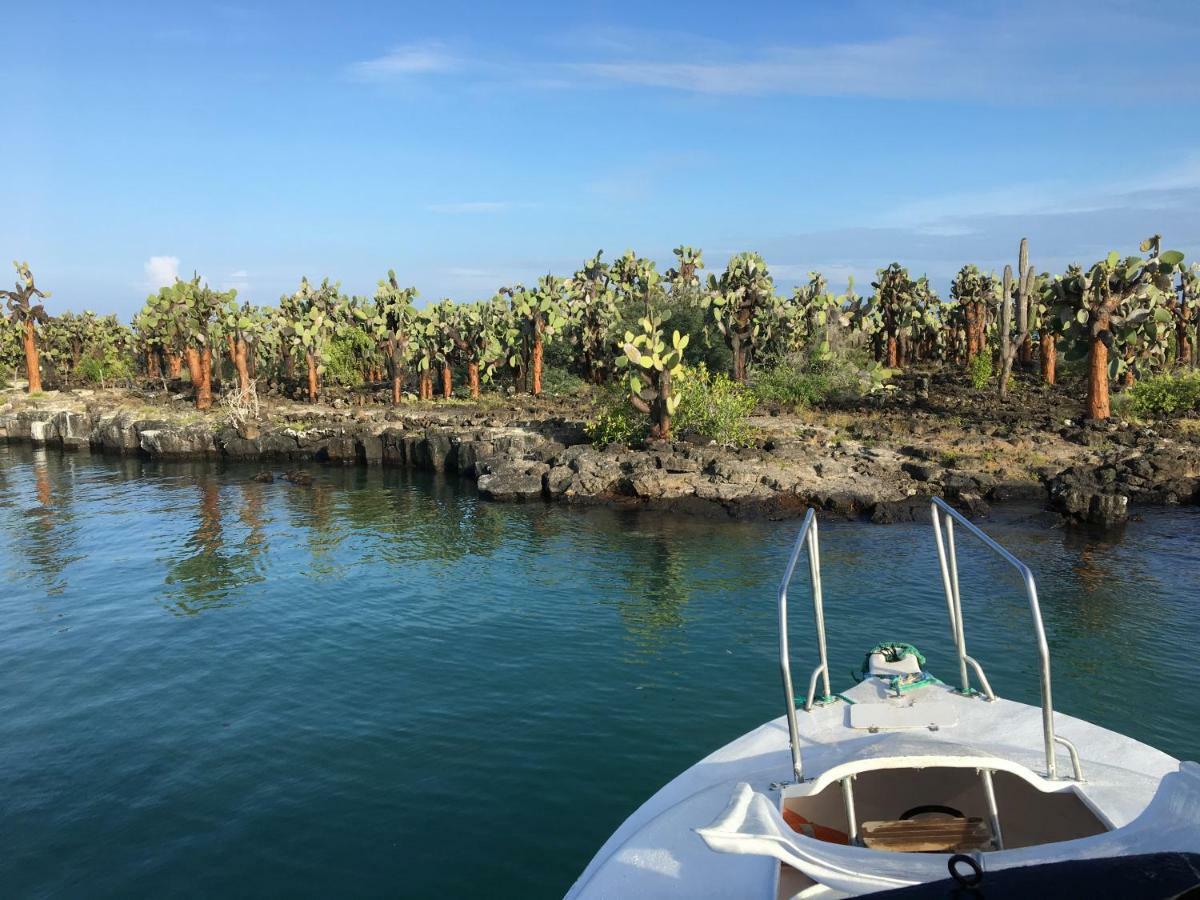 New Galapagos Hostelling Puerto Ayora  Exterior photo